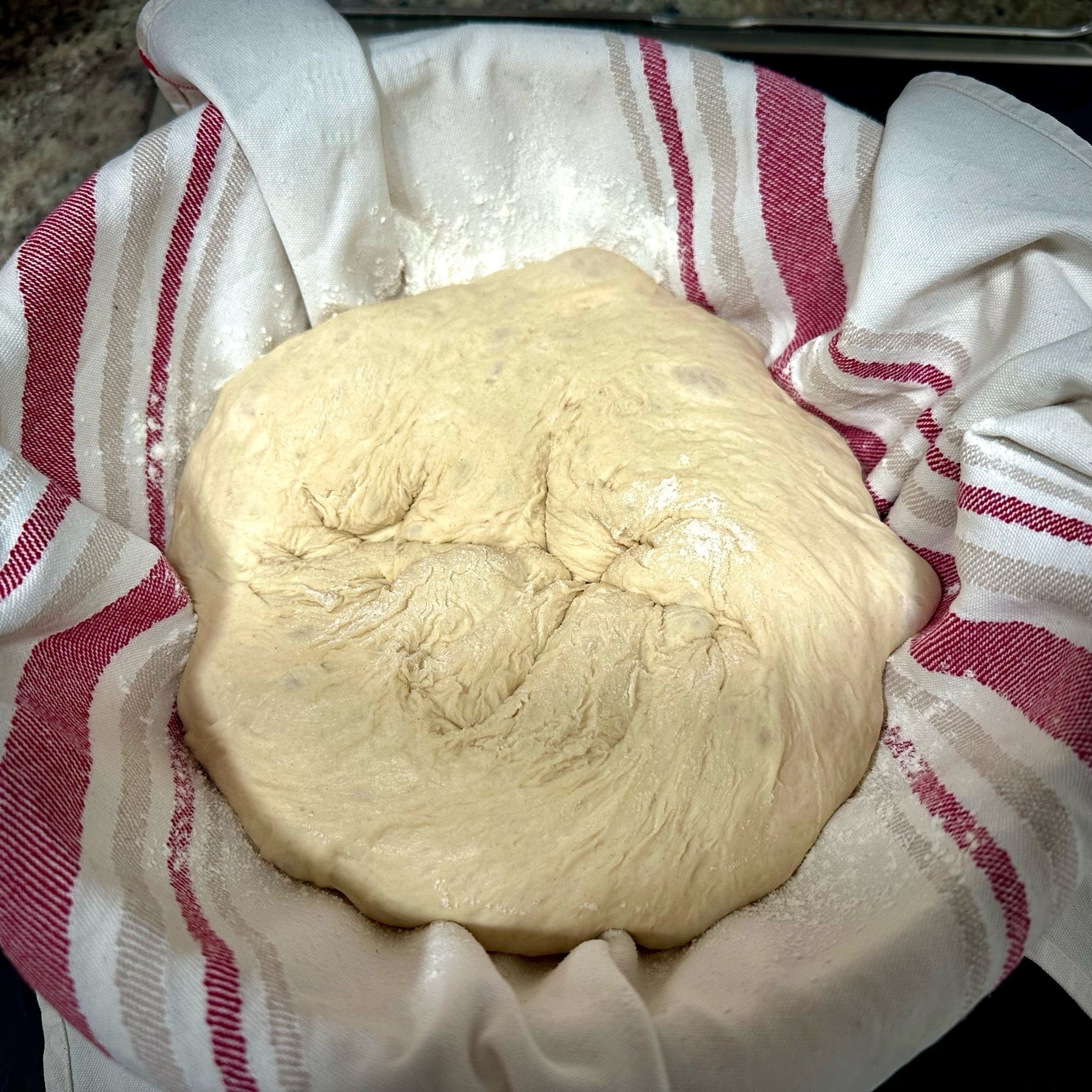 Dough sitting in a bowl